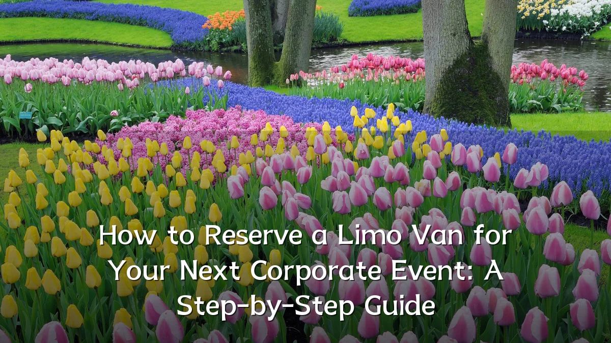 How to Reserve a Limo Van for Your Next Corporate Event: A Step-by-Step Guide
