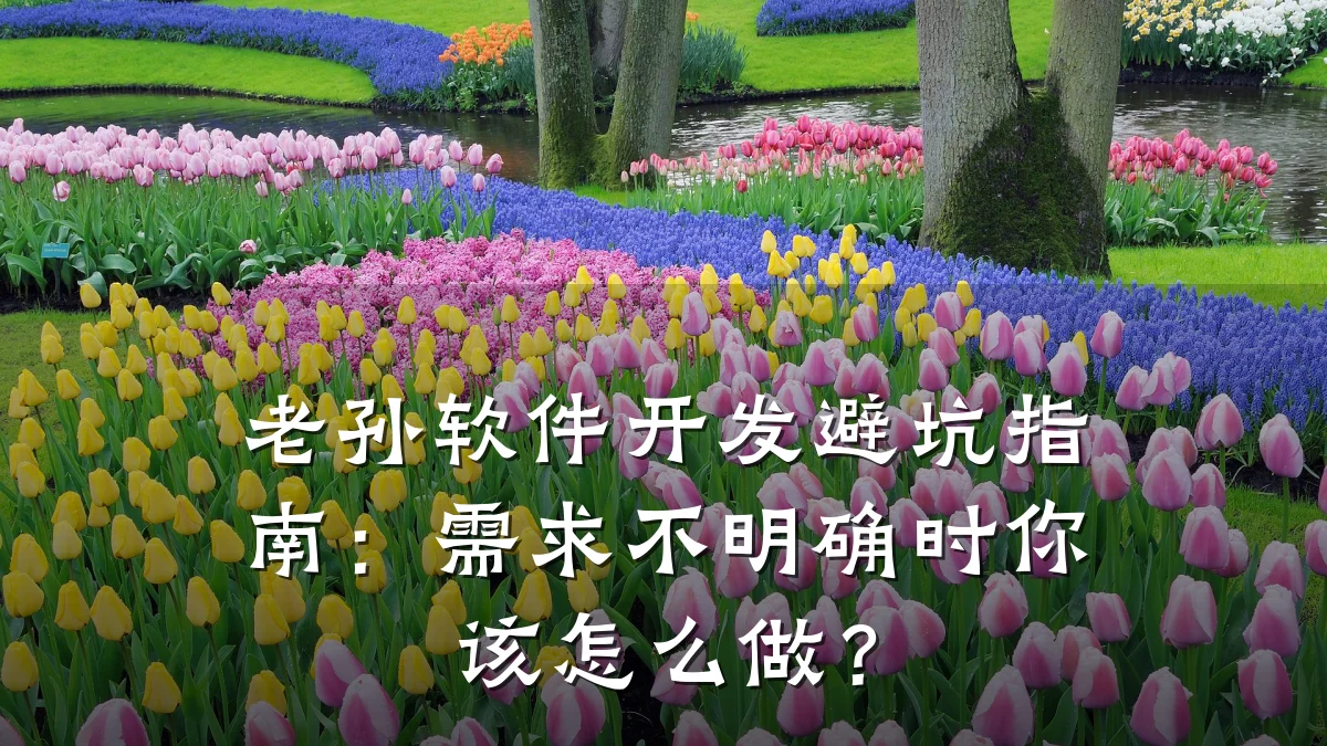 老孙软件开发避坑指南:需求不明确时你该怎么做?