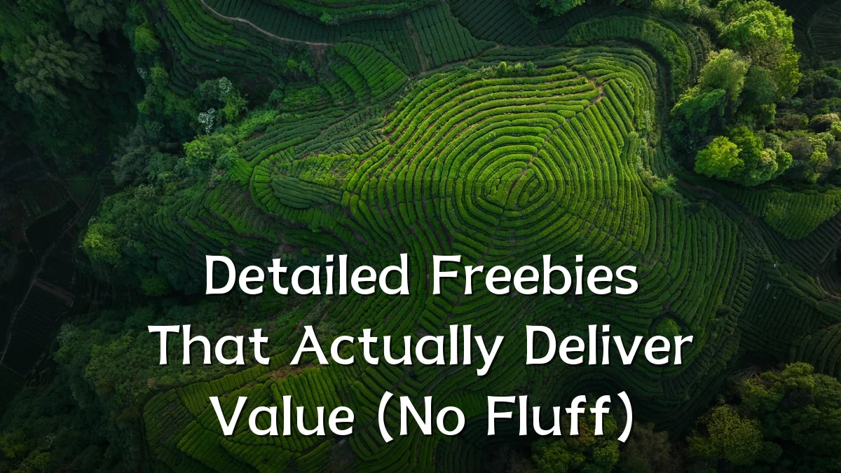 Detailed Freebies That Actually Deliver Value (No Fluff)