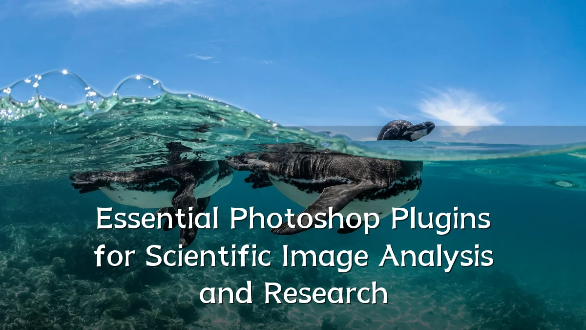 Essential Photoshop Plugins for Scientific Image Analysis and Research