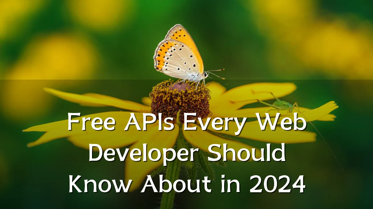 Free APIs Every Web Developer Should Know About in 2024