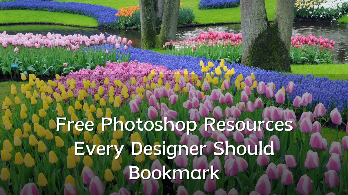 Free Photoshop Resources Every Designer Should Bookmark