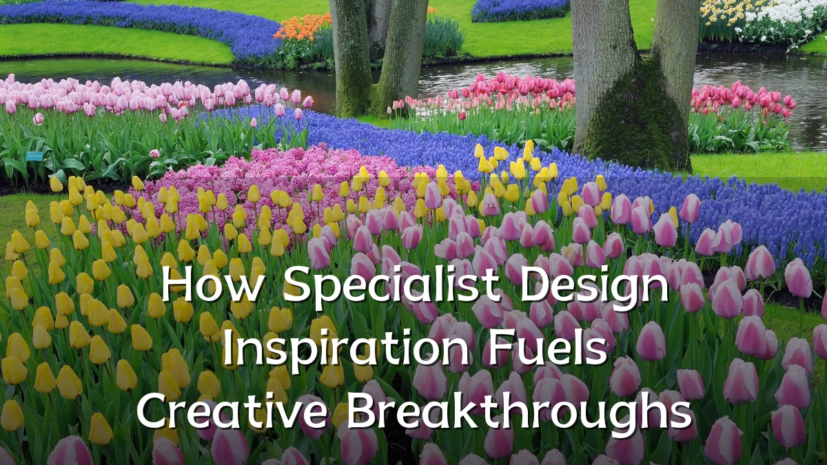 How Specialist Design Inspiration Fuels Creative Breakthroughs