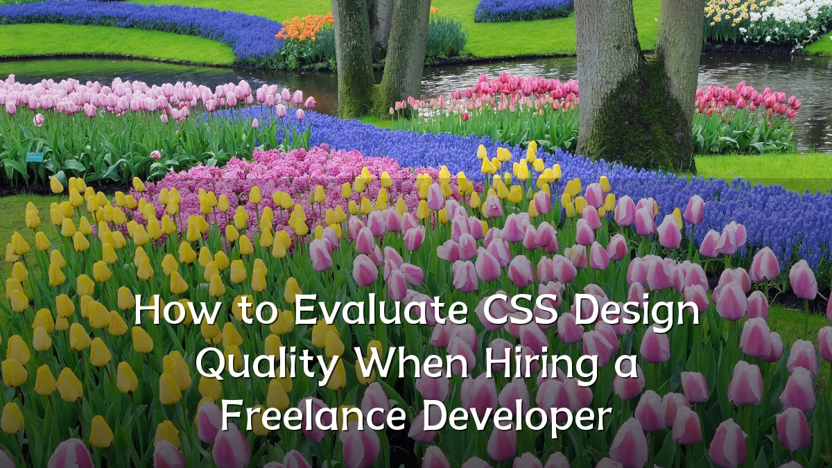 How to Evaluate CSS Design Quality When Hiring a Freelance Developer