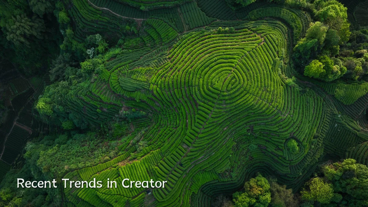 Recent Trends in Creator