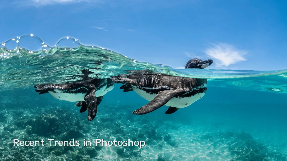 Recent Trends in Photoshop