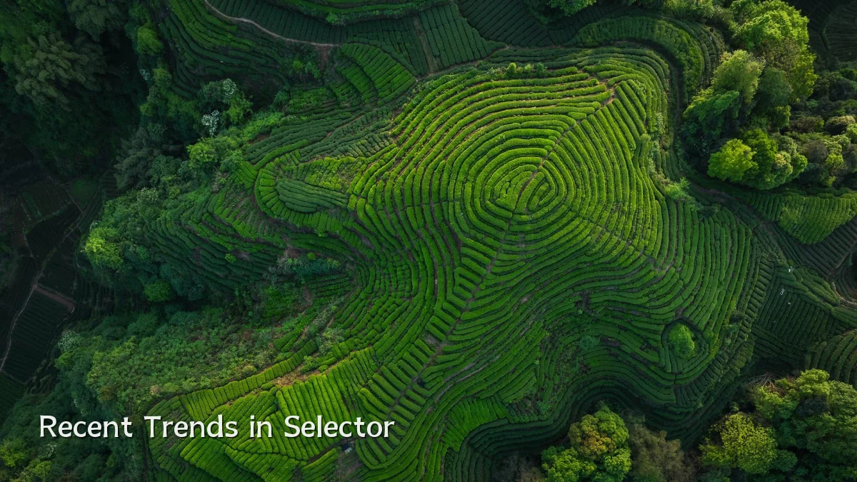 Recent Trends in Selector