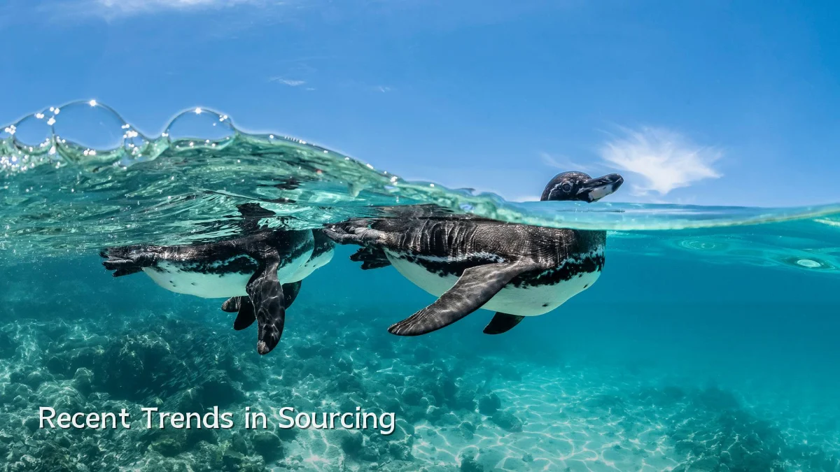 Recent Trends in Sourcing