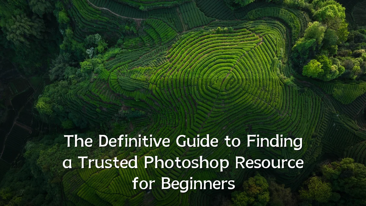 The Definitive Guide to Finding a Trusted Photoshop Resource for Beginners