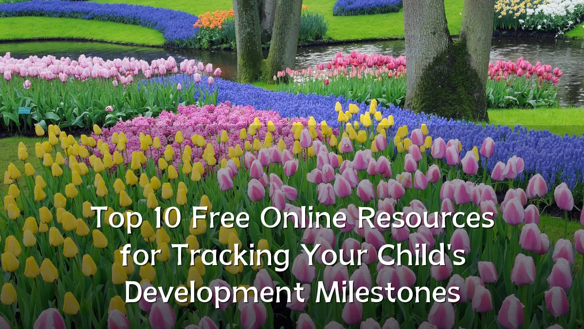 Top 10 Free Online Resources for Tracking Your Child's Development Milestones