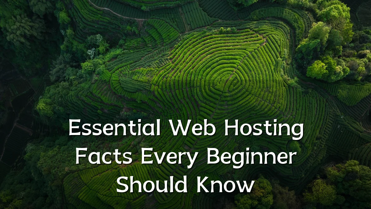 Essential Web Hosting Facts Every Beginner Should Know