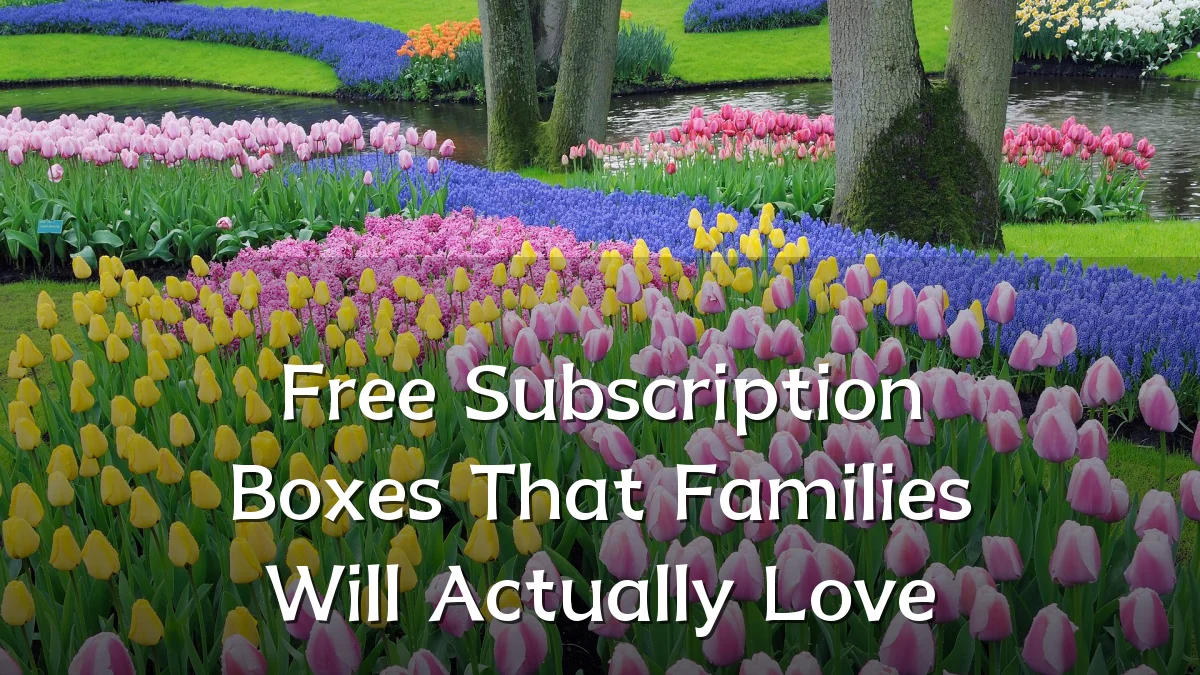 Free Subscription Boxes That Families Will Actually Love