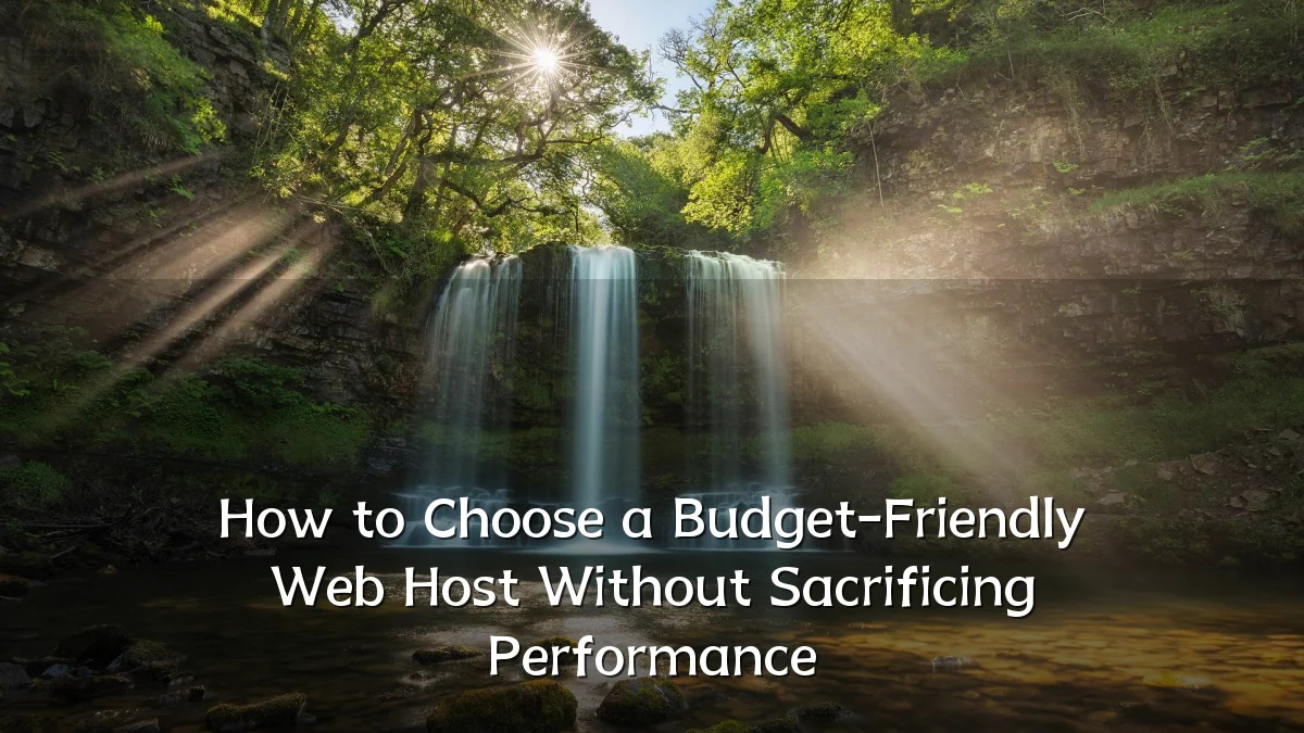 How to Choose a Budget-Friendly Web Host Without Sacrificing Performance