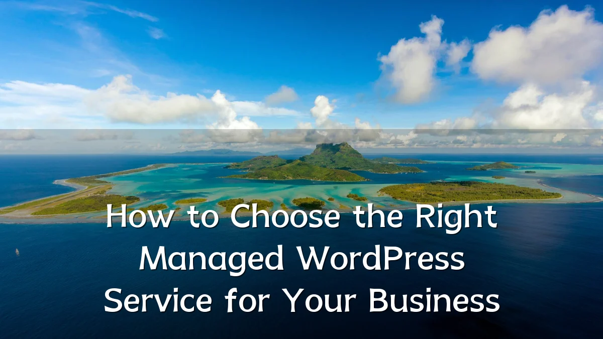How to Choose the Right Managed WordPress Service for Your Business