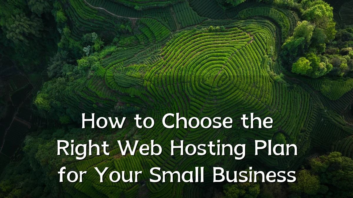 How to Choose the Right Web Hosting Plan for Your Small Business