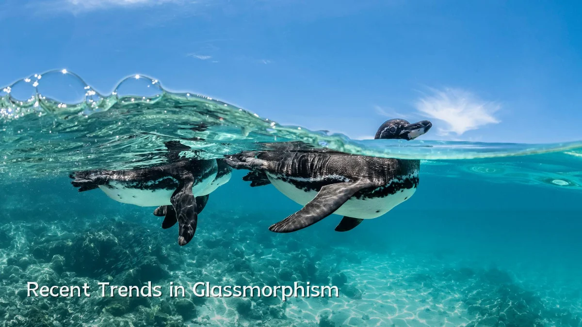 Recent Trends in Glassmorphism