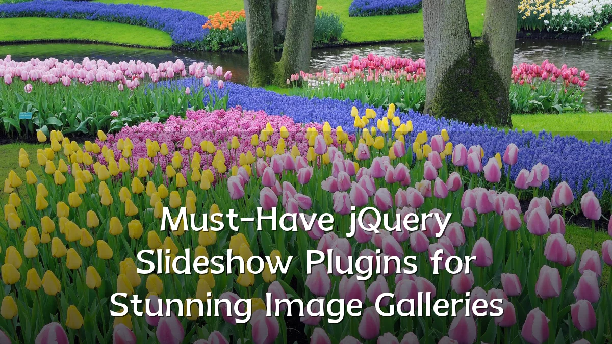 Must-Have jQuery Slideshow Plugins for Stunning Image Galleries