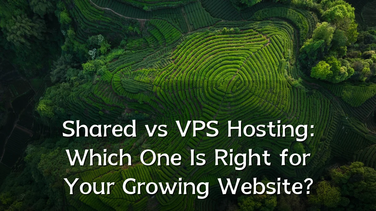 Shared vs VPS Hosting: Which One Is Right for Your Growing Website?