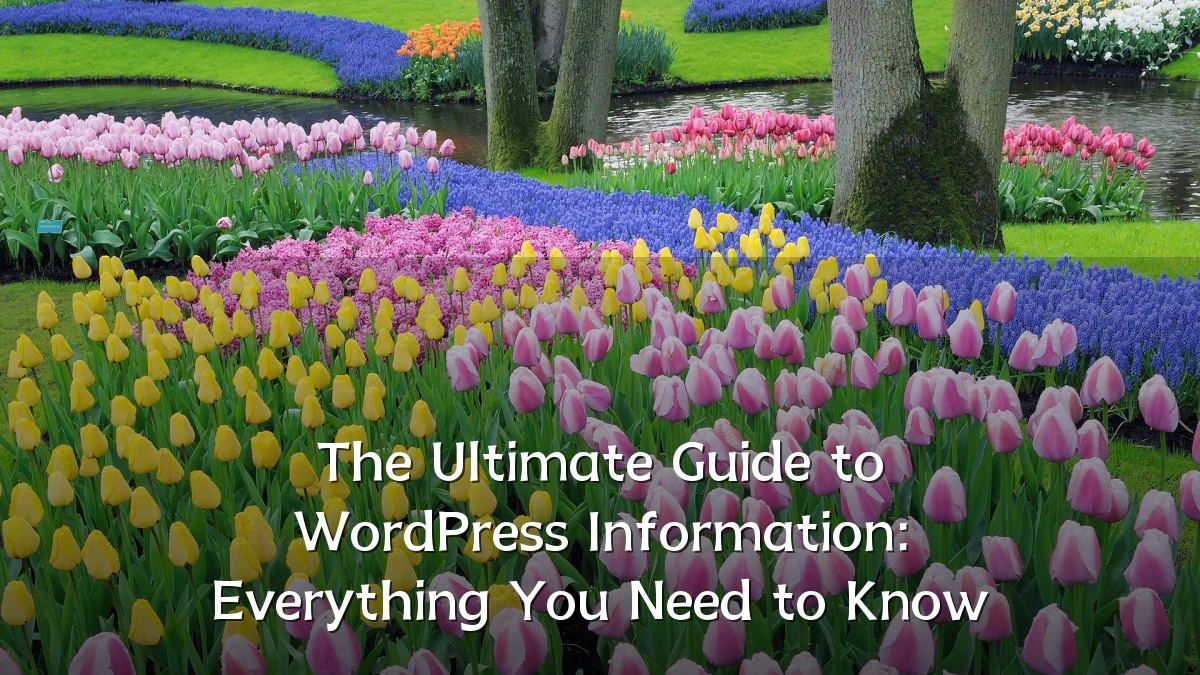 The Ultimate Guide to WordPress Information: Everything You Need to Know