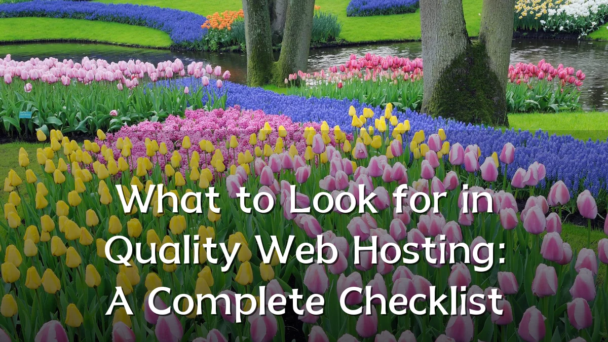 What to Look for in Quality Web Hosting: A Complete Checklist