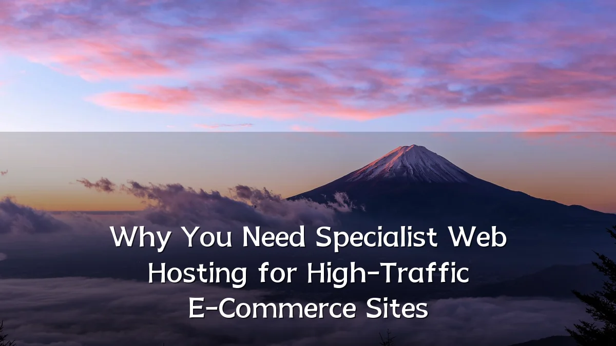 Why You Need Specialist Web Hosting for High-Traffic E-Commerce Sites