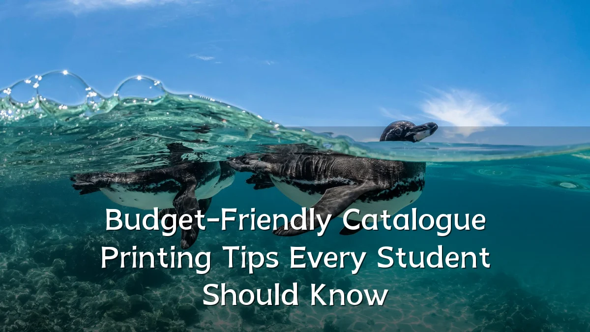 Budget-Friendly Catalogue Printing Tips Every Student Should Know