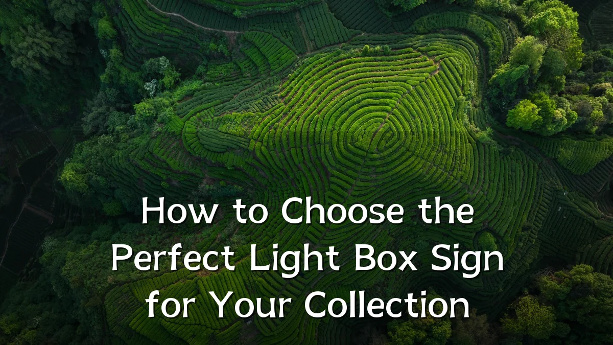 How to Choose the Perfect Light Box Sign for Your Collection